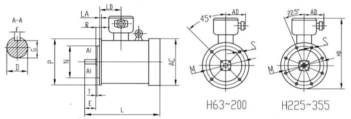 B5.jpg